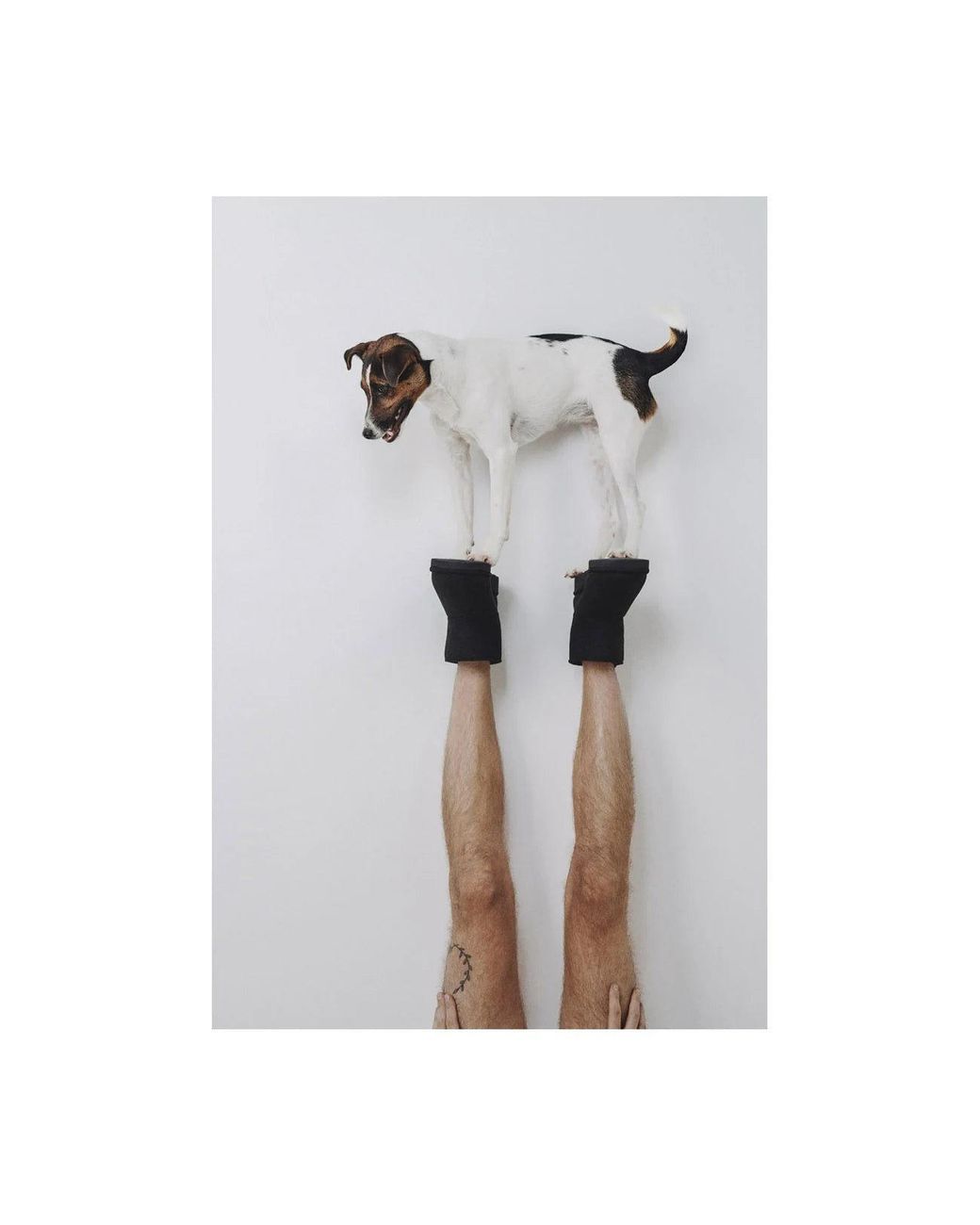 The New Orchard Brown Classic Vegan Short Boots