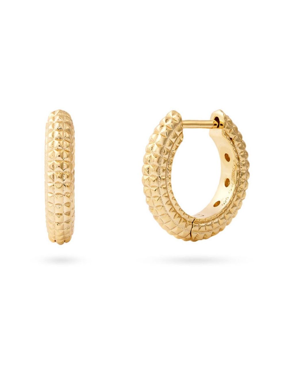 Onewildone Metallic Stay Golden Earrings