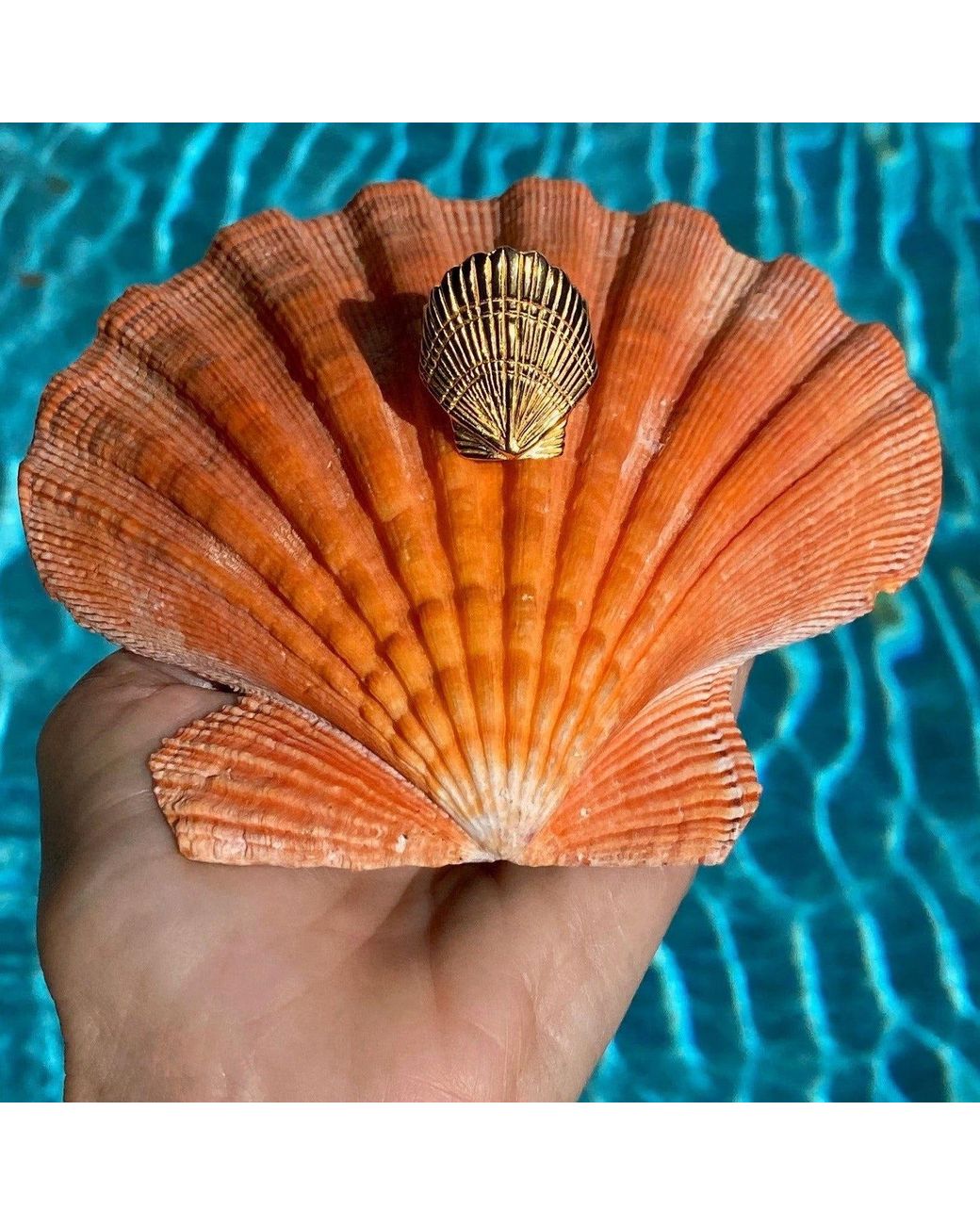 Lexi Jewelry Yellow Scallop Shell Ariel Ring
