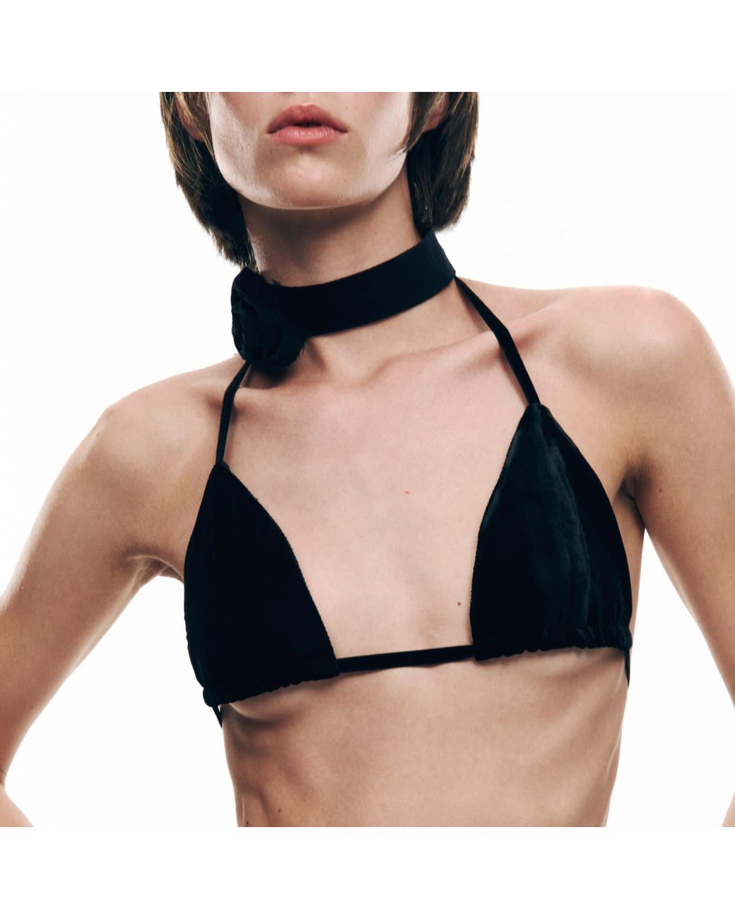 Serotoninn Black Velvet Bra Top