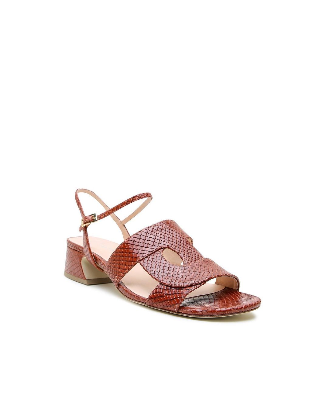 Alterre Brown Snake Amal Loop Sandal