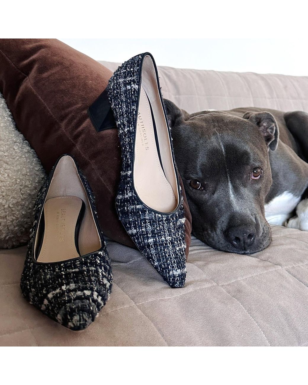 Beautiisoles by Robyn Shreiber Made in Italy Blue Corina Leather & Tweed Pump With Block Heel For Work& Evening