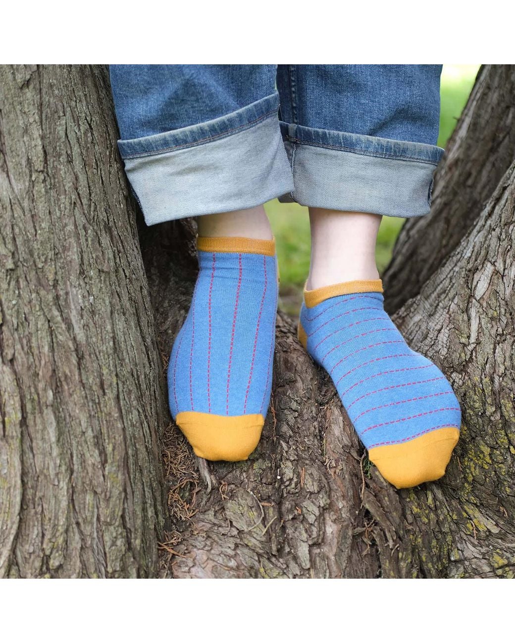 Peper Harow - Made in England Blue Block Stripe Aqua & Dash Trainer Socks Bundle for men