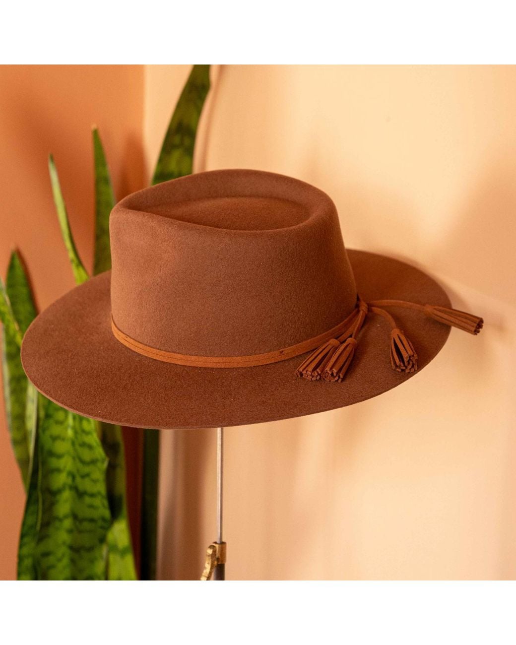 Shaded the Label Brown Pendower Coffee Fedora Hat