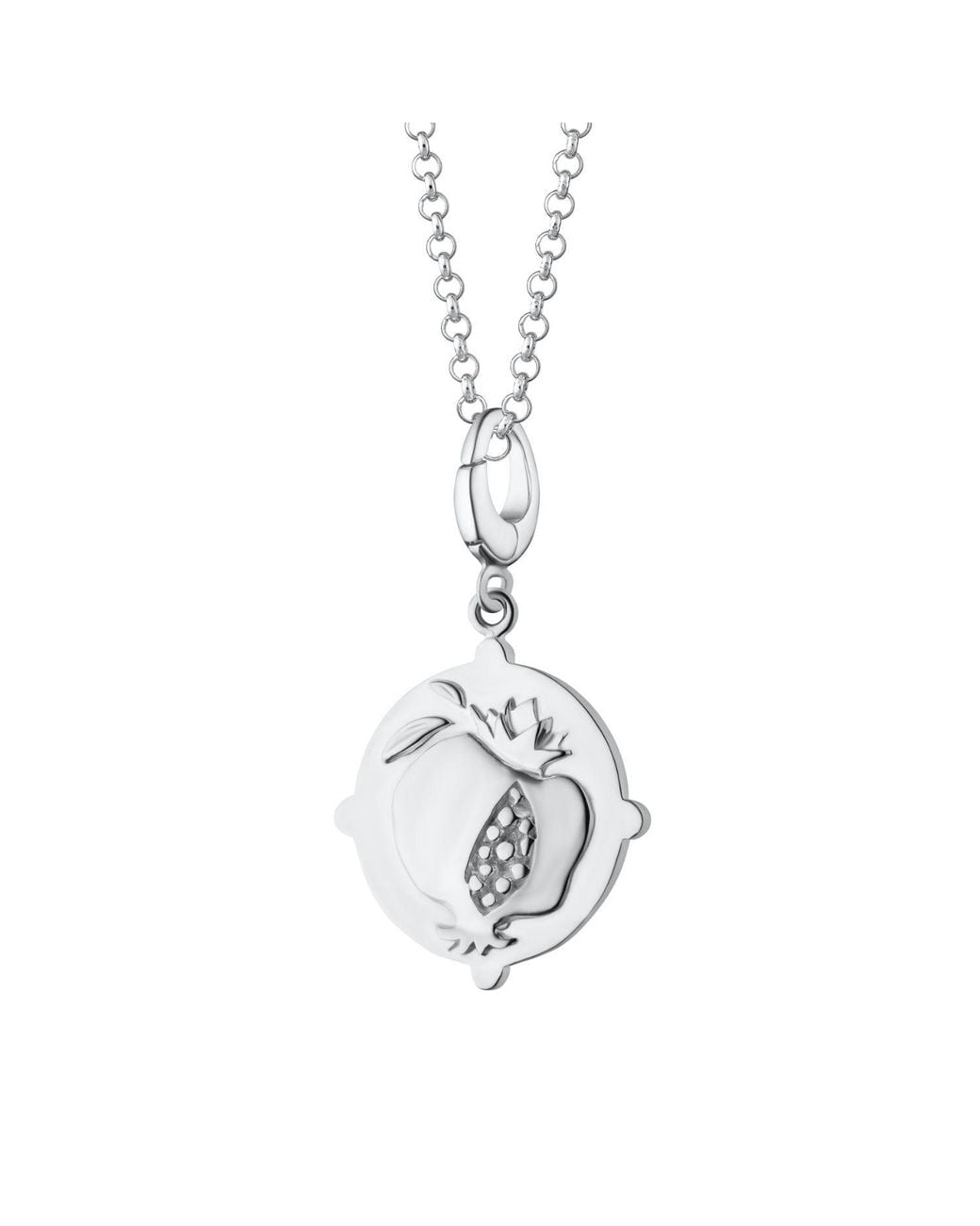 Lily Charmed Metallic Sterling Goddess Of And Mothers Hera Charm Necklace