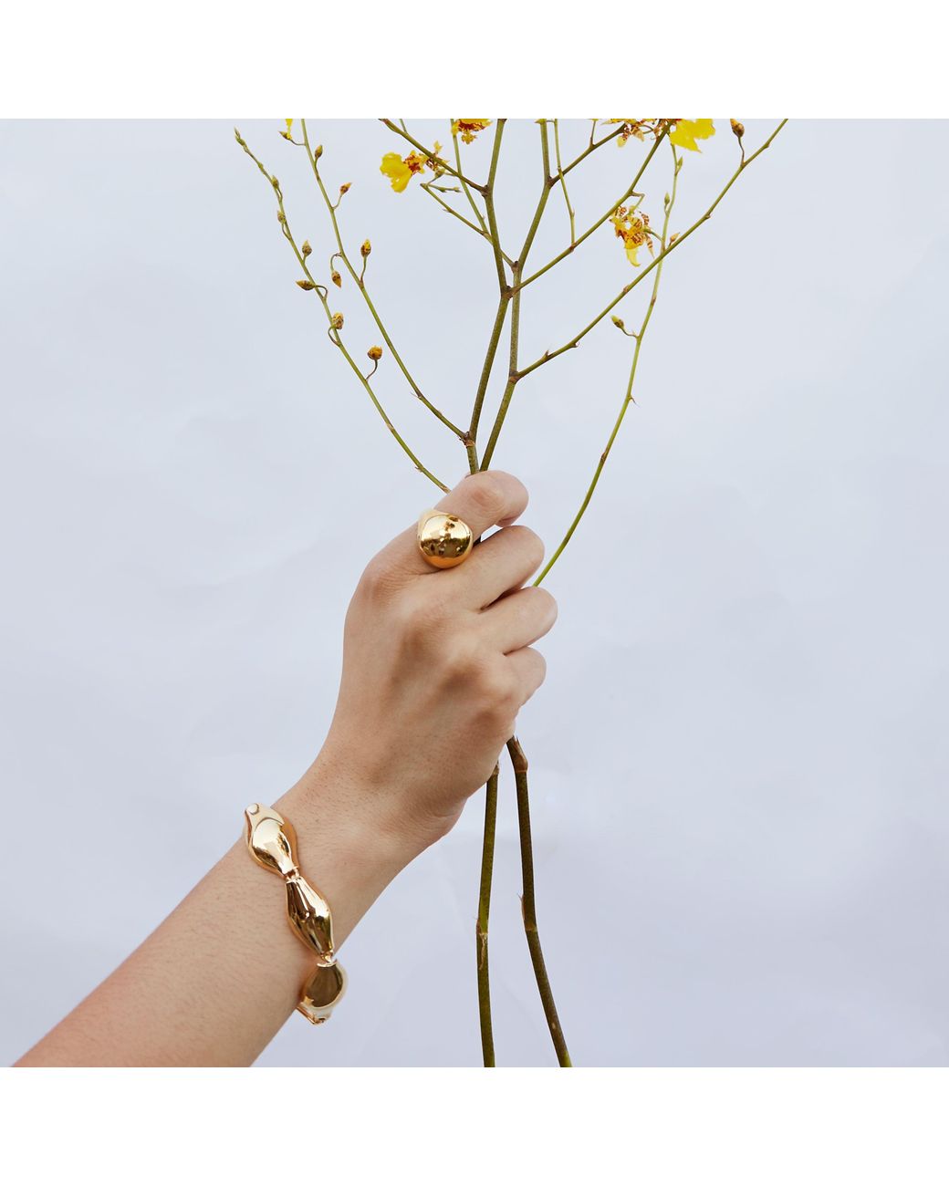 Biko Jewellery Metallic Amphora Bracelet