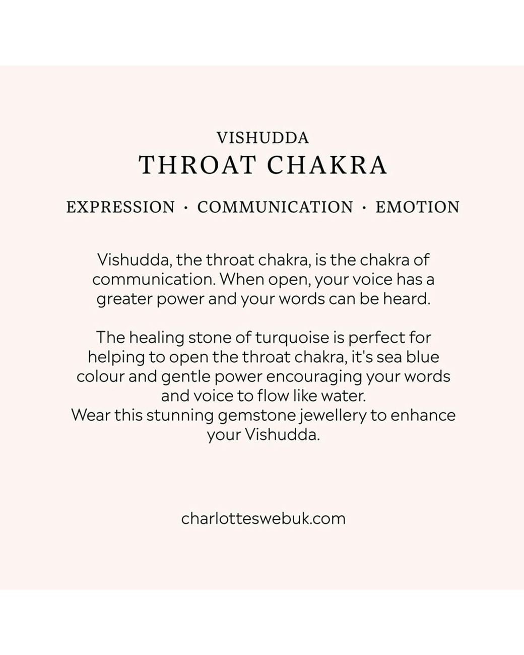 Charlotte's Web Jewellery Metallic Throat Chakra Necklace