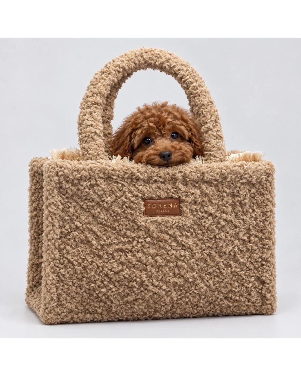 Sorena Brown Neutrals Biscotti Medium Tote Bag