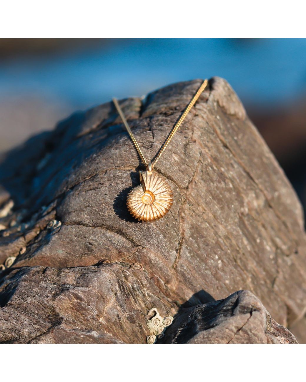 Lee Renee Metallic Ammonite Necklace