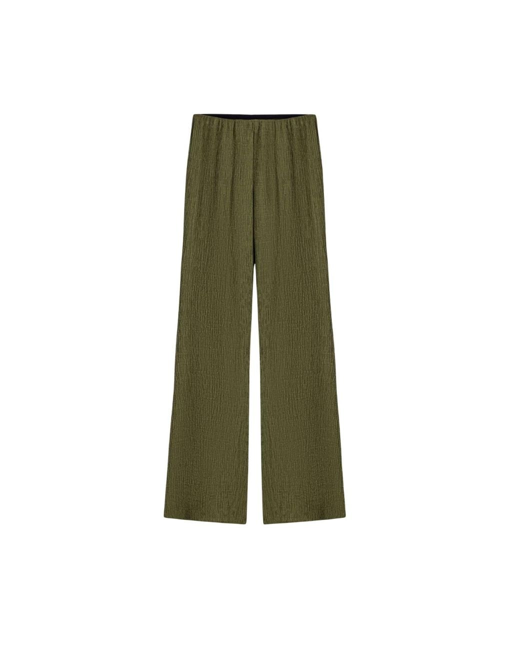 Nocturne Green Neutrals Flared High-Waist Pants