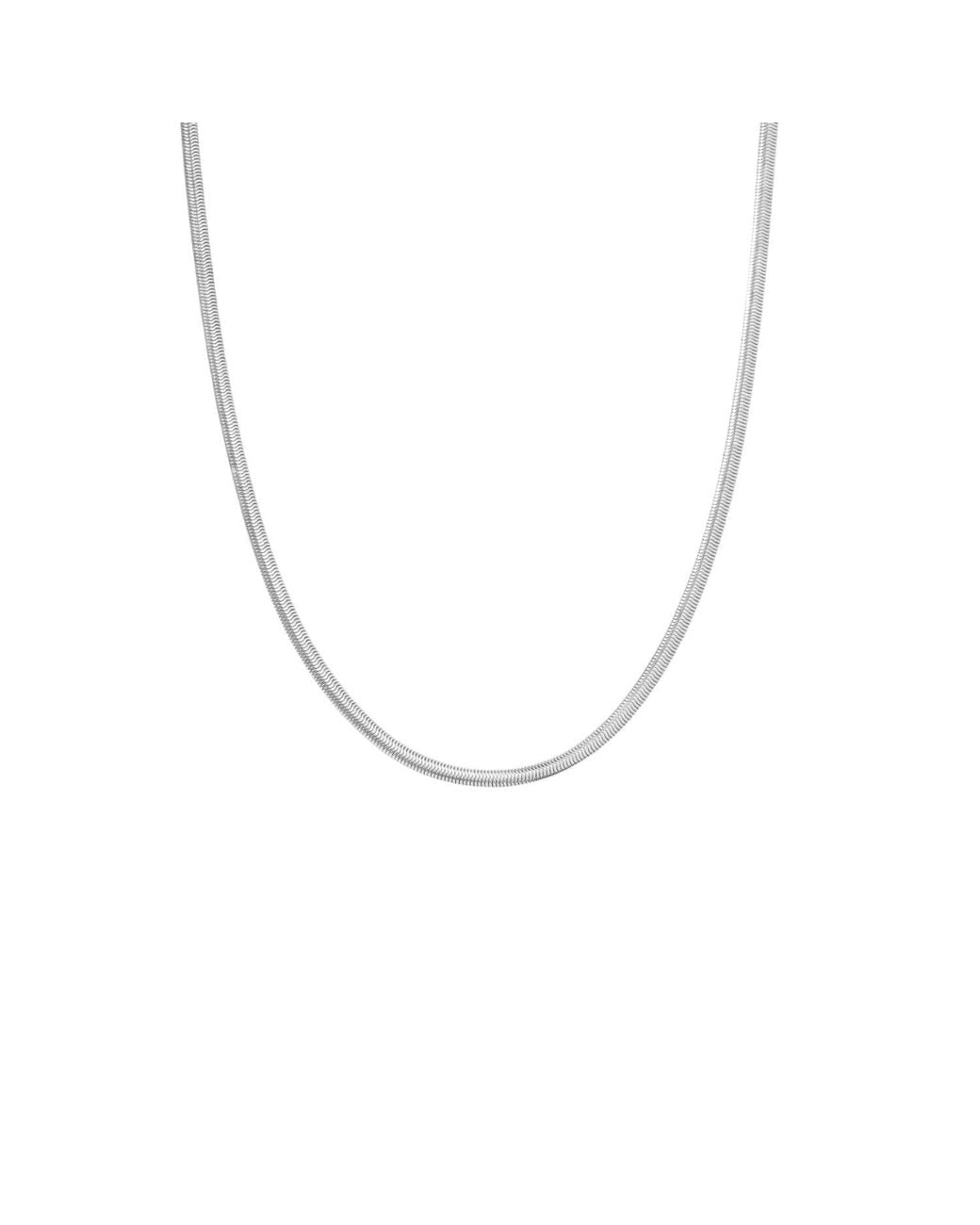 Vanhi Metallic Estelle Herringbone Chain Necklace