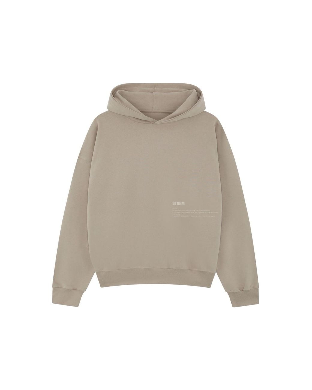 Storm Gray Neutrals The Everyday Oversized Hoodie Stone