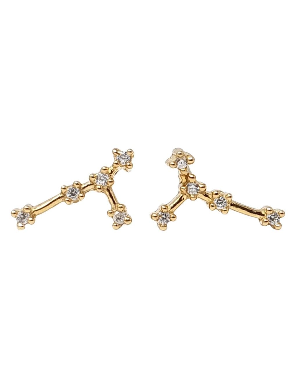 Sophelia Metallic Cancer Star Sign Constellation Astrology Tiny Earrings