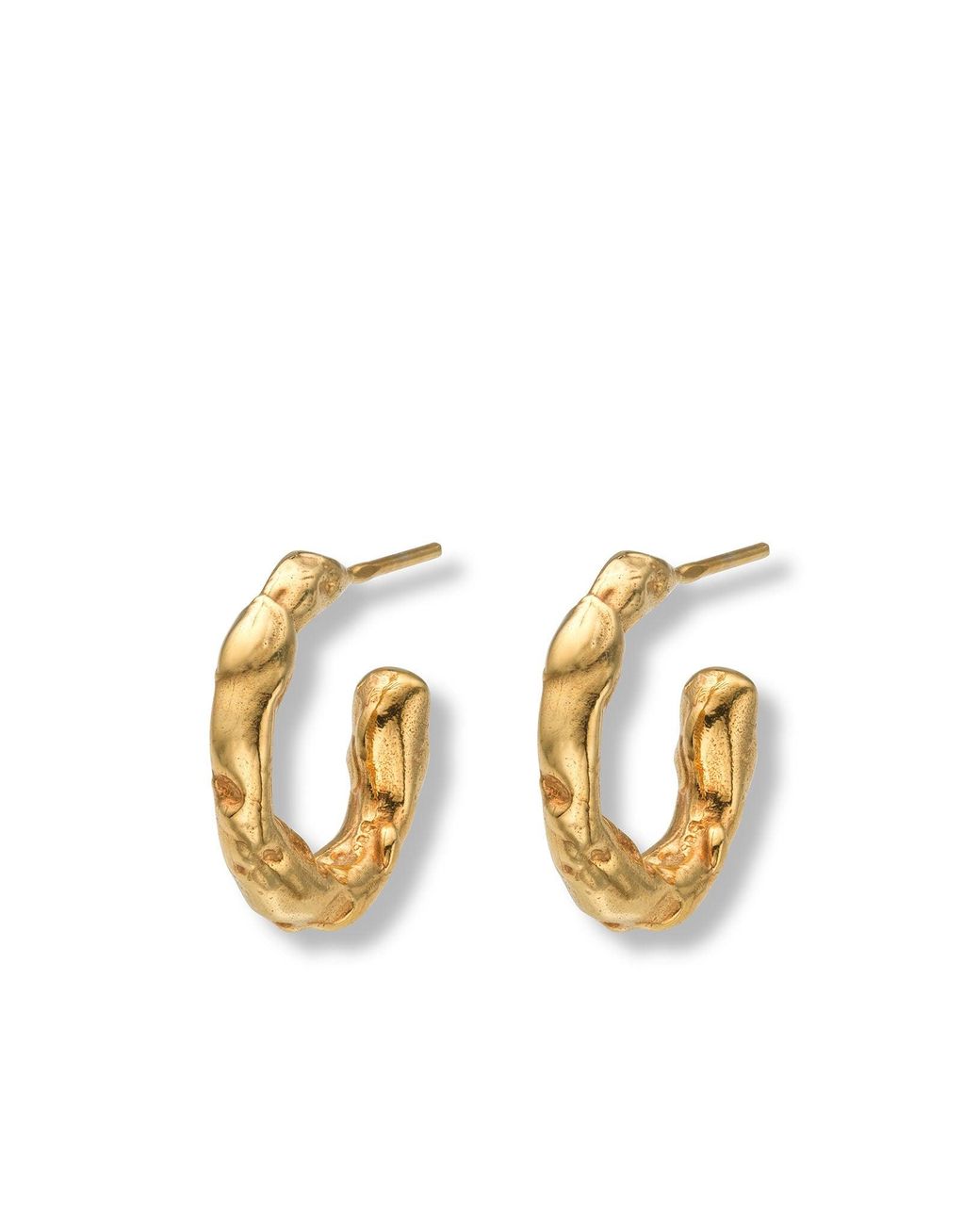 EVA REMENYI Metallic Talisman Small Hoop Earrings 14K
