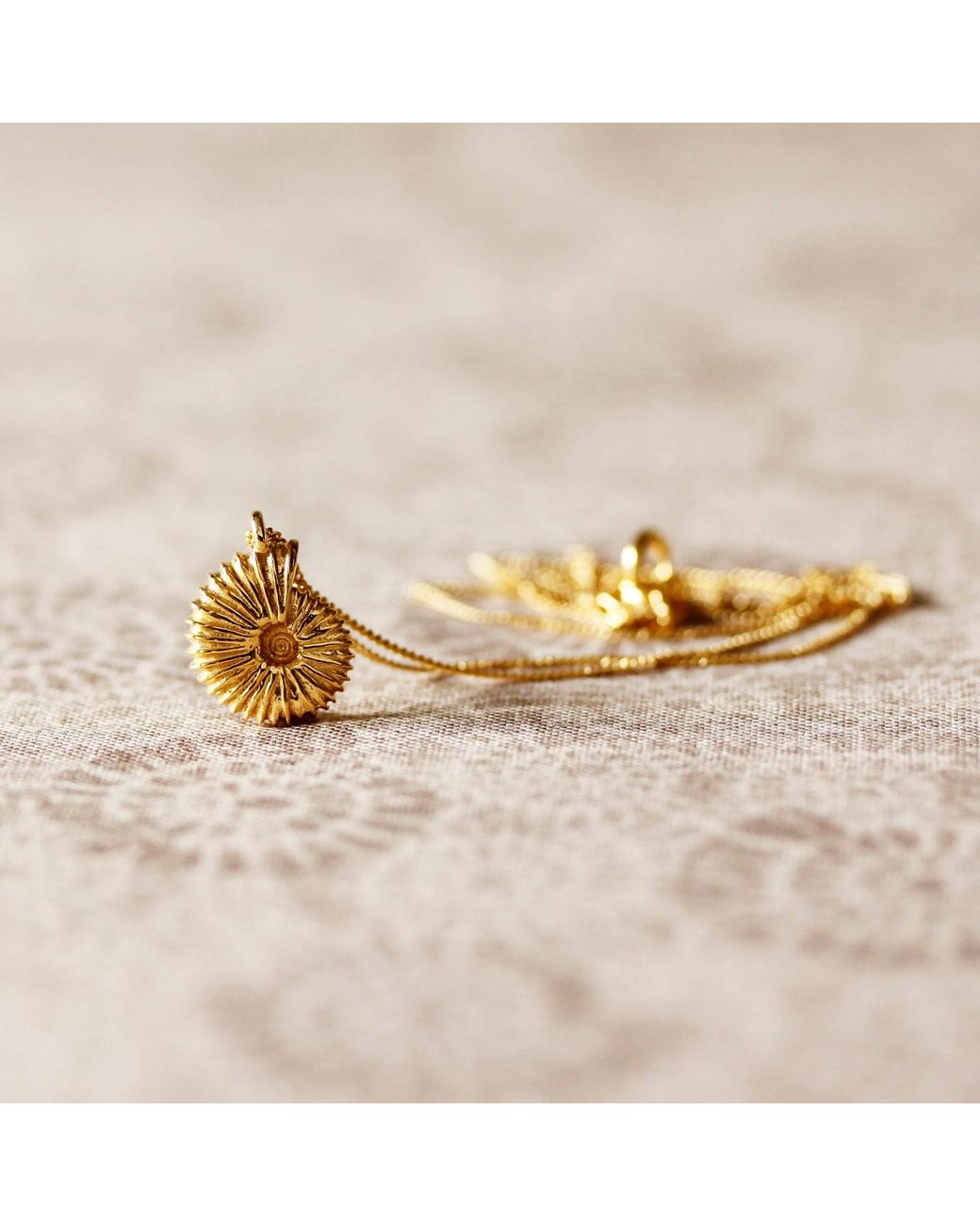 Lee Renee Metallic Ammonite Necklace