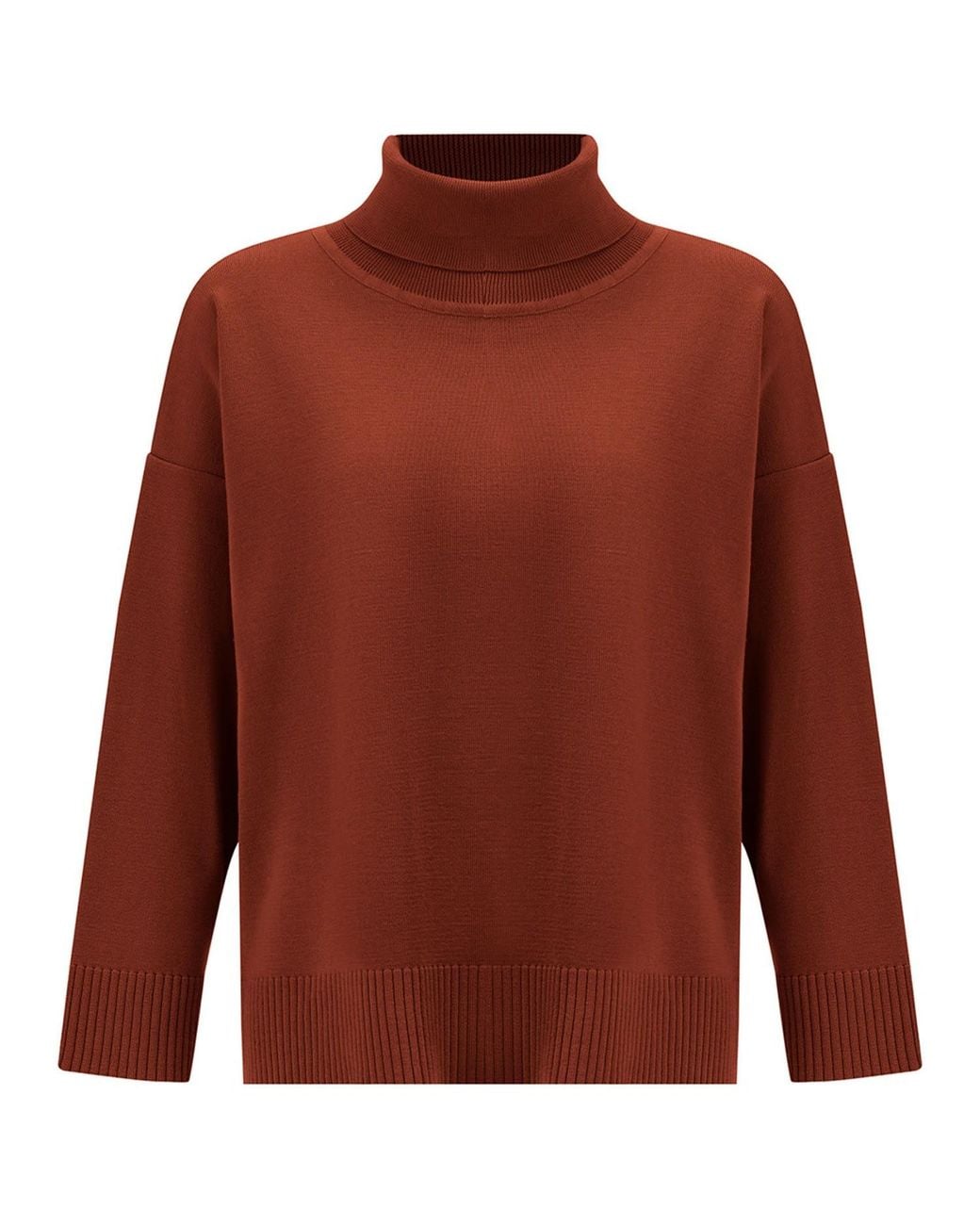 Peraluna Brown Wide Roll Neck Knitwear Pullover