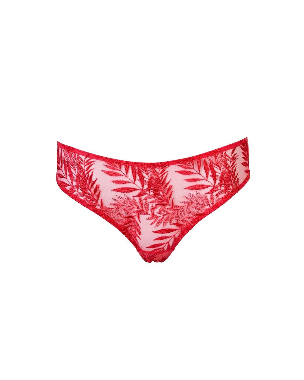 Daily Underwear Red Brazilian Panties Flamingo