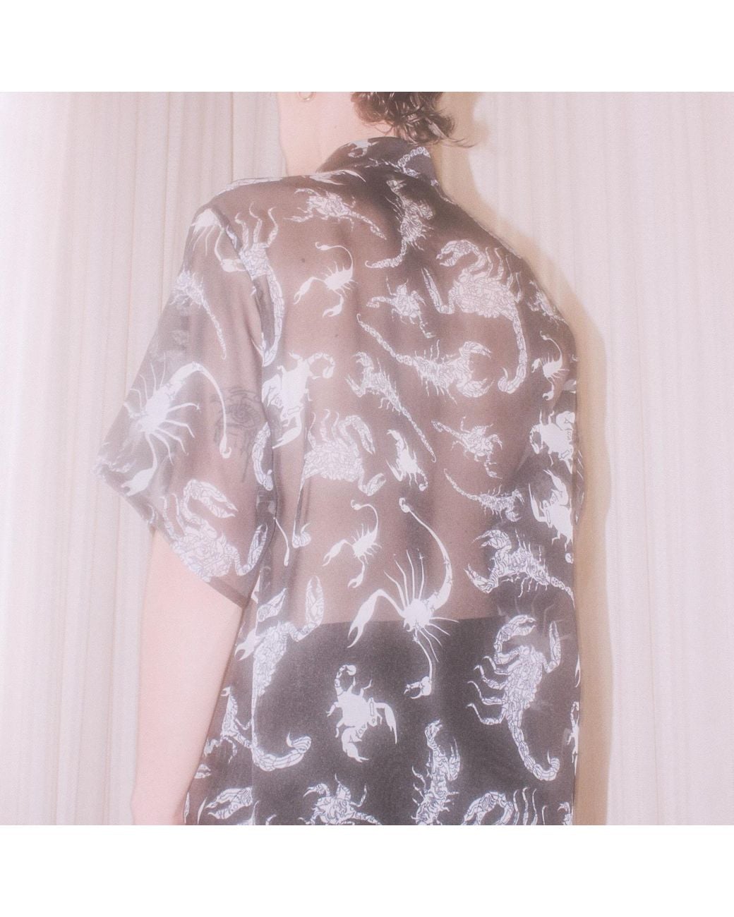 Paloma Lira Black Scorpios Chiffon Shirt for men