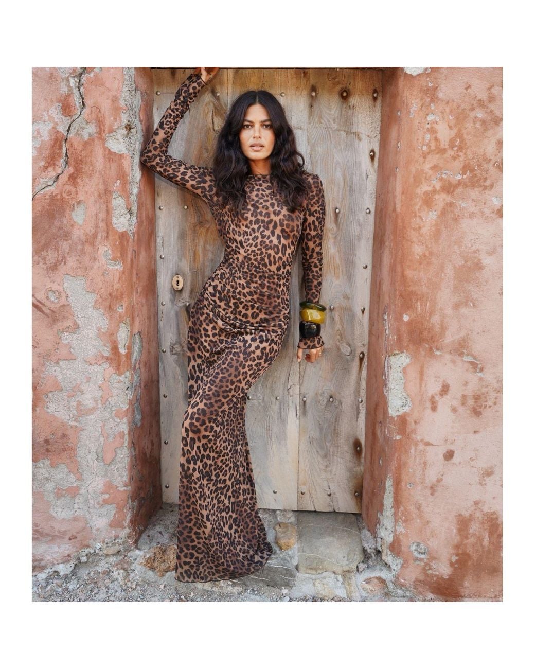 Alia Studio Brown Lueur Maxi Mesh Dress