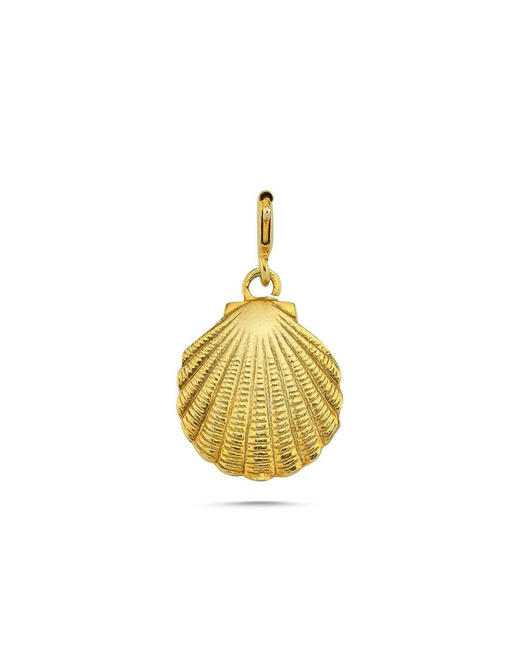 LINYA JEWELLERY Metallic Small Oyster Charm
