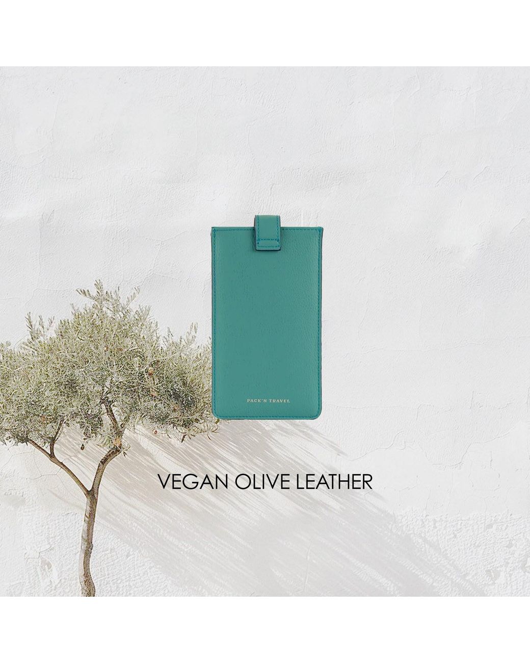 Pack'n Travel Green Glasses Case