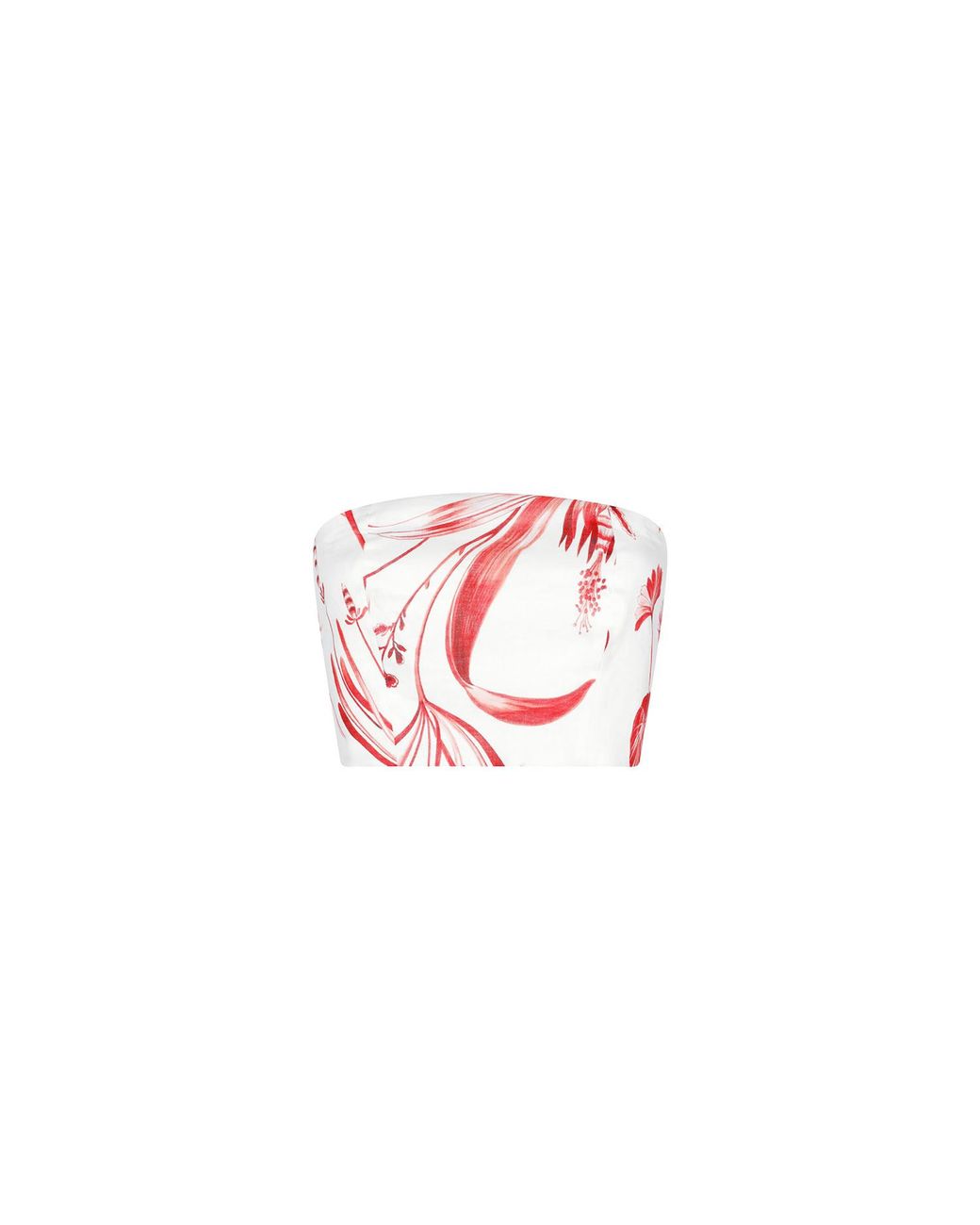Aguaclara Red Rouge Bustier Top