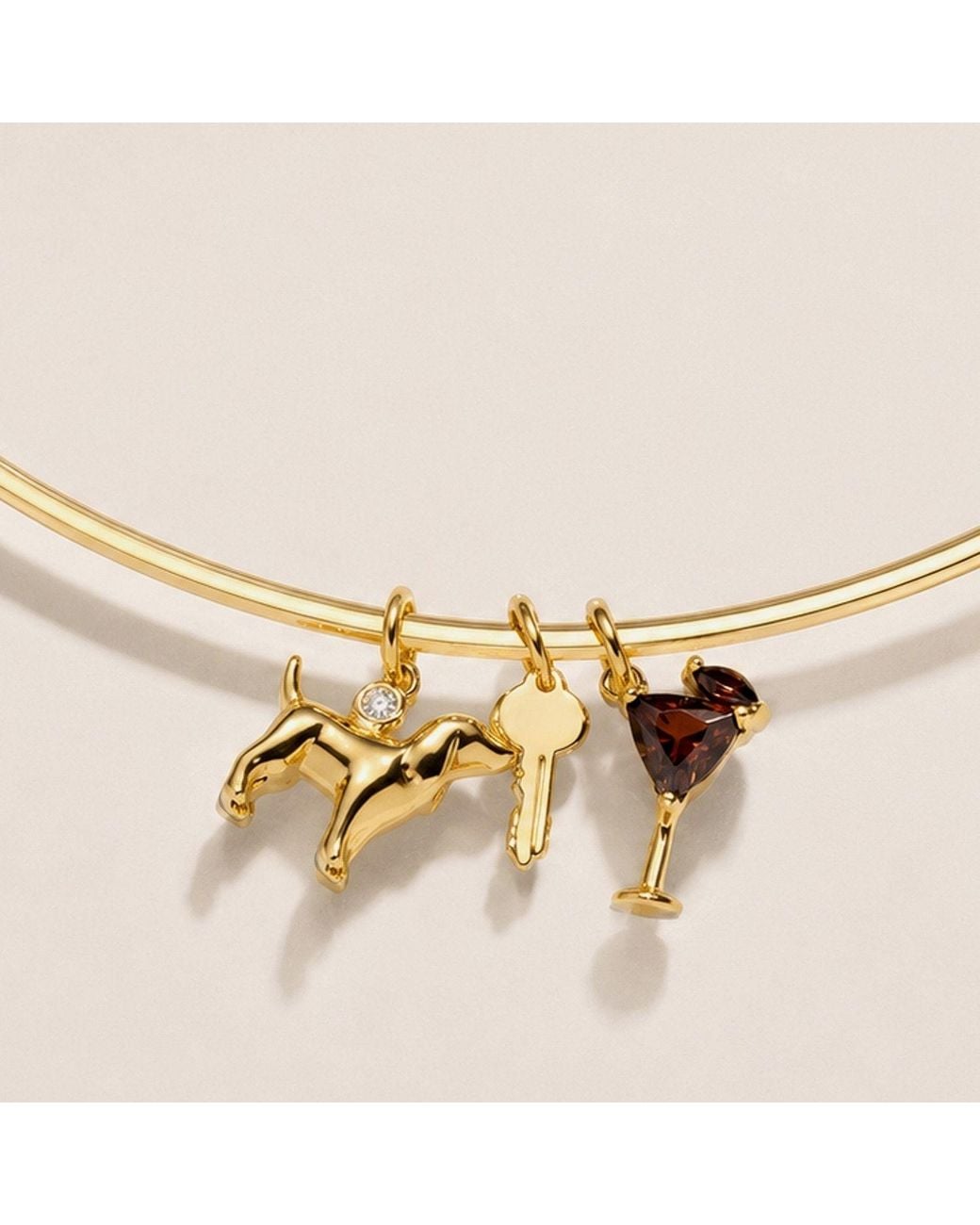 Belinda Jewelz Metallic Gemstone Dog Charm