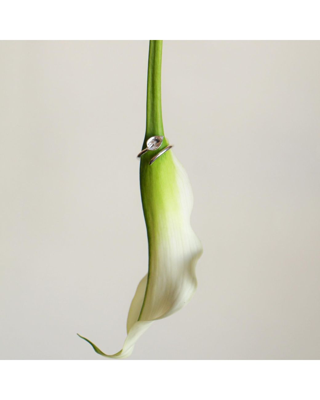 Agora Jewellery White Calla Ring