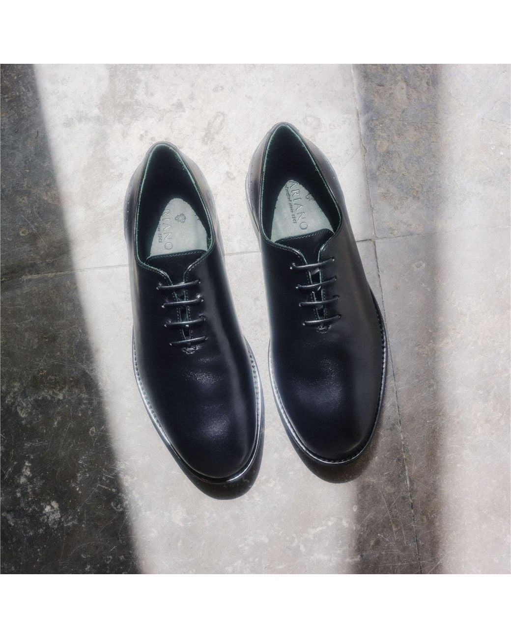 Mariano Shoes Black Cobre Lace-Up