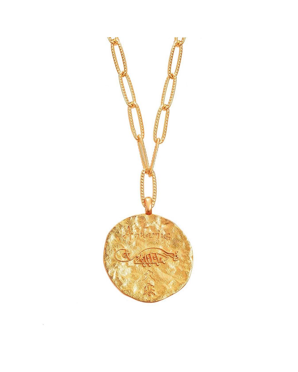 Aurozia Metallic Constellations Aquarius Double-Sided Coin Necklace