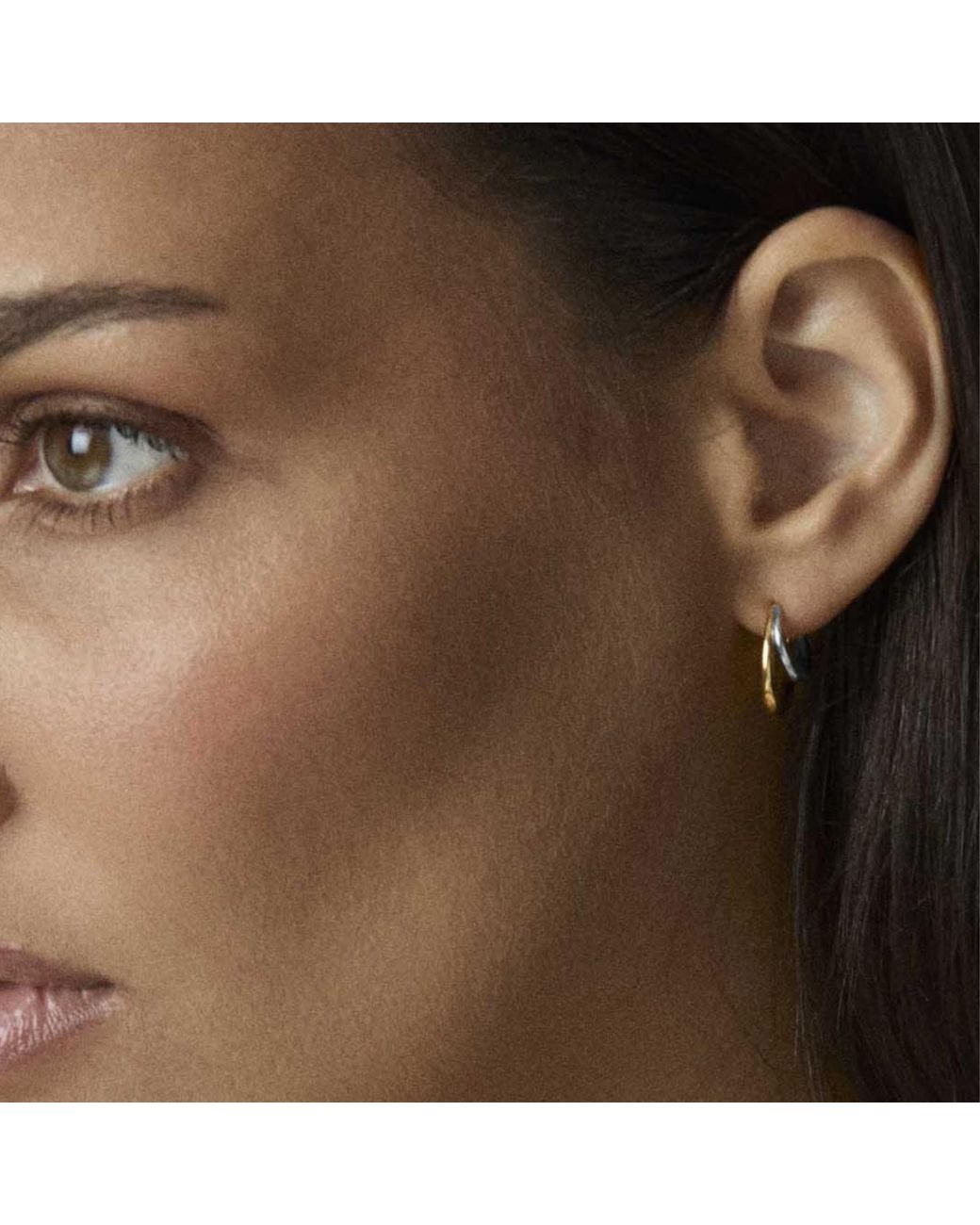 Dinny Hall Metallic Toro Mixed Metal Double Hoops