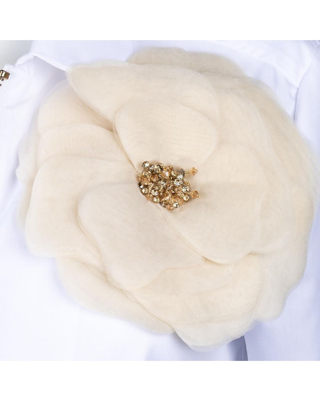 House of Laines London Blue Laines Couture Zip Shirt With Cream Corsage