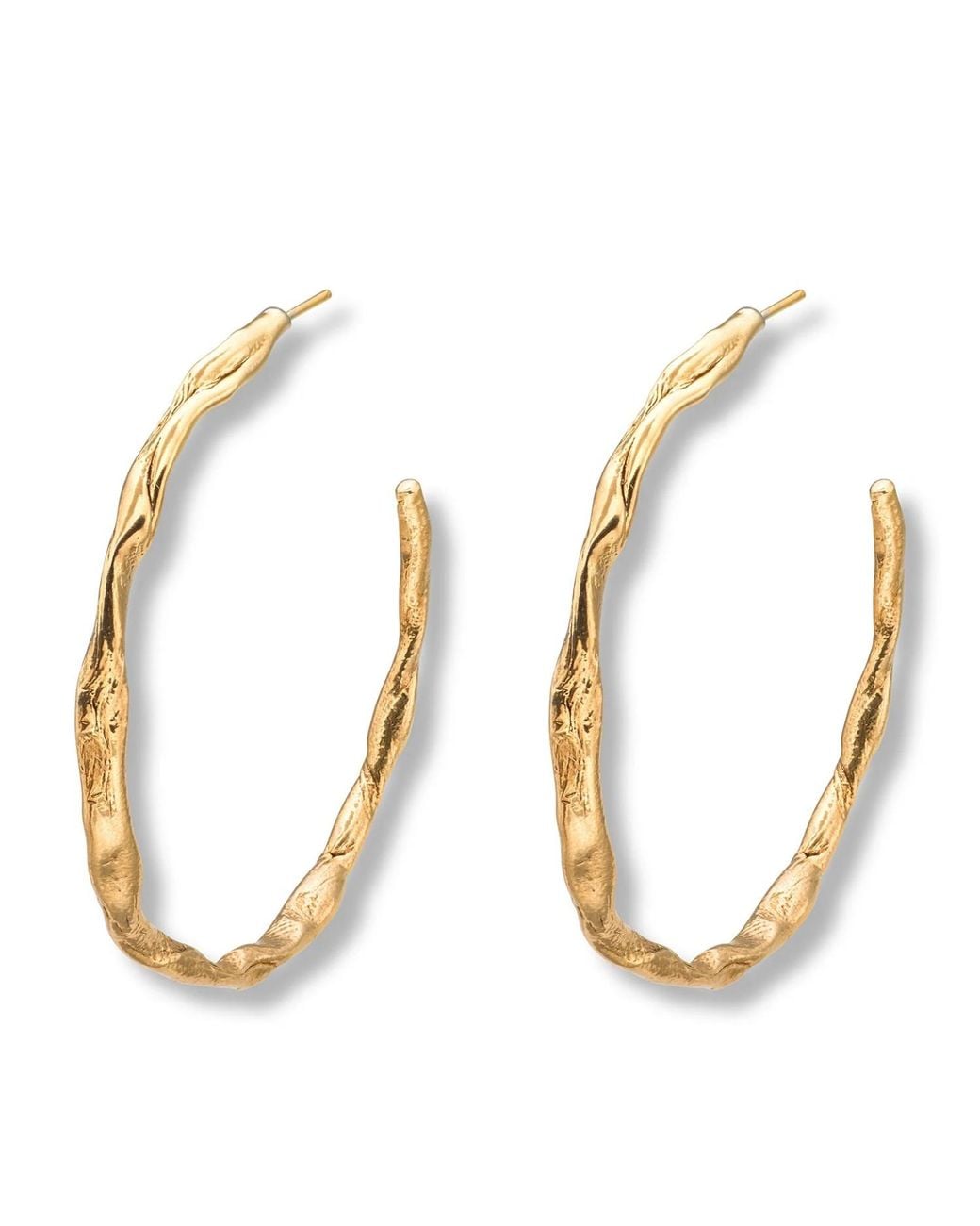 EVA REMENYI Metallic Talisman Hoop Earrings