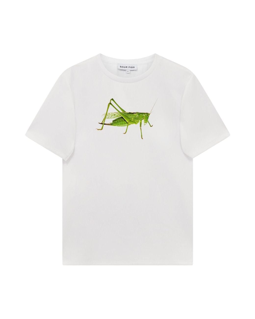 Sour Figs White Bush-Cricket Print T-Shirt