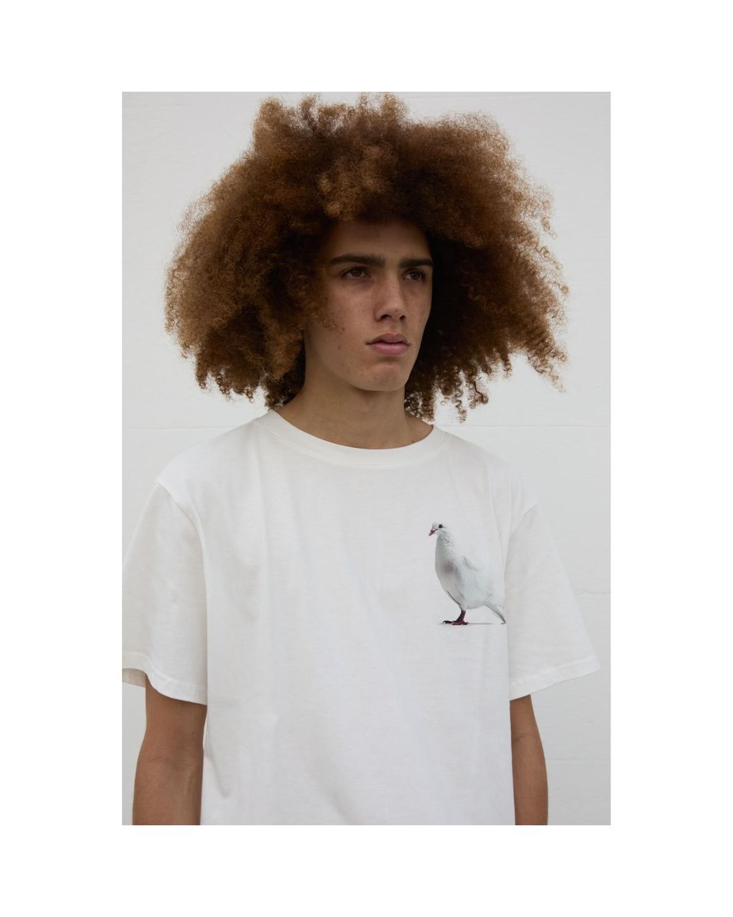 Sour Figs White Standing Dove T-Shirt for men