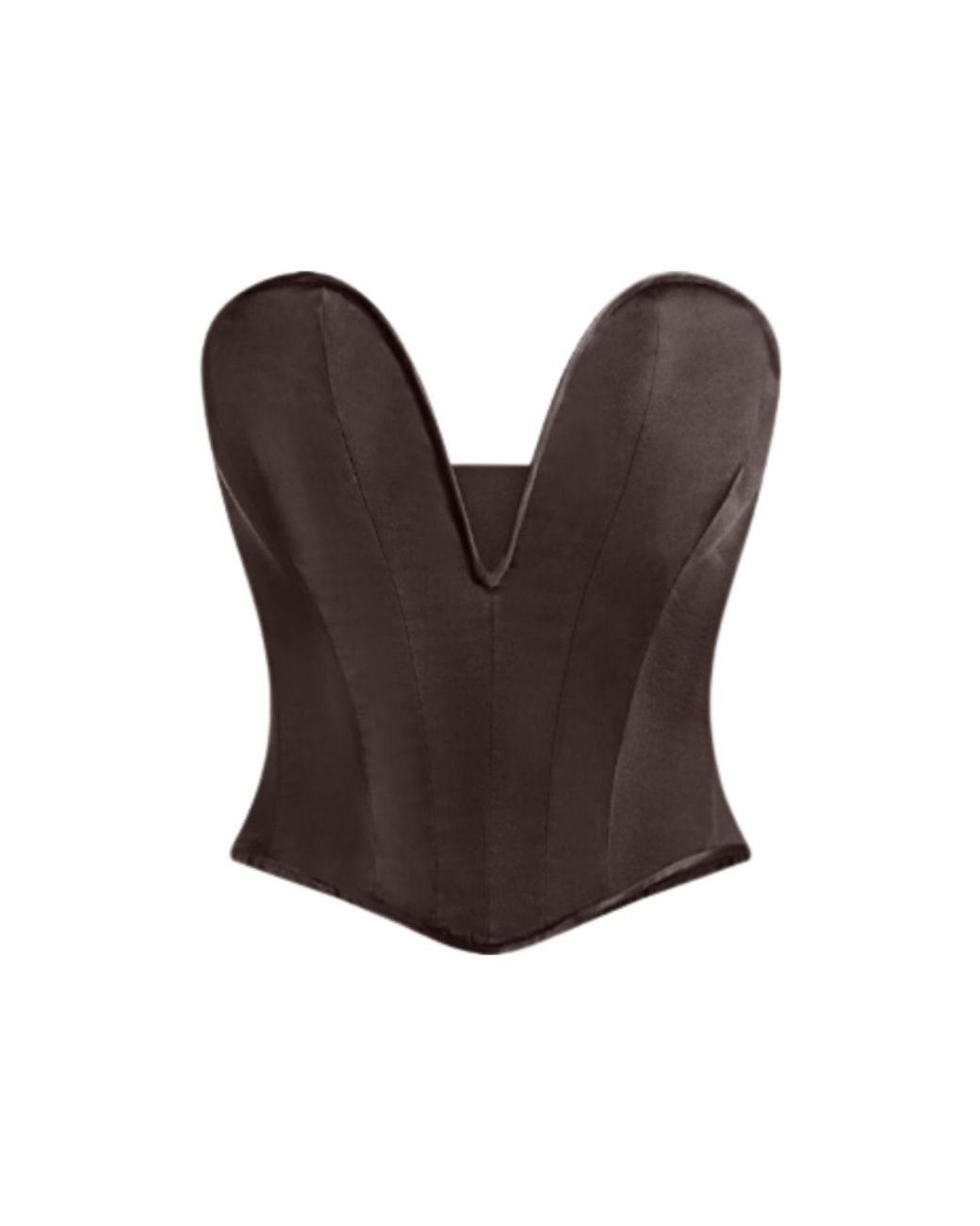 Scarlett Gasque Brown Arcadia Corset