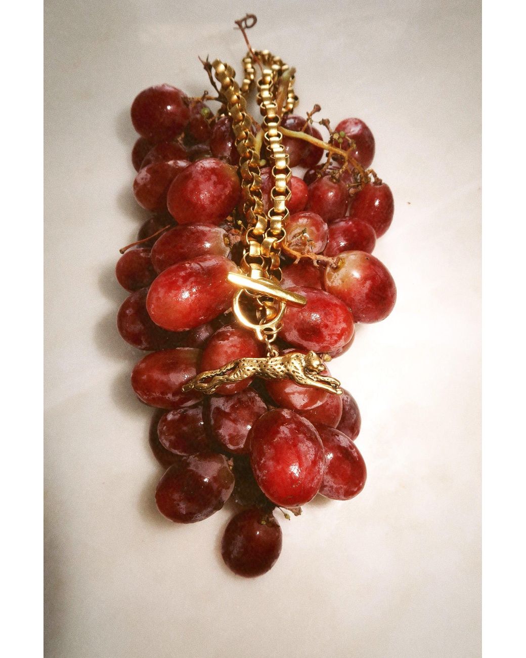 Sccollection Metallic Roxy Cheetah Necklace