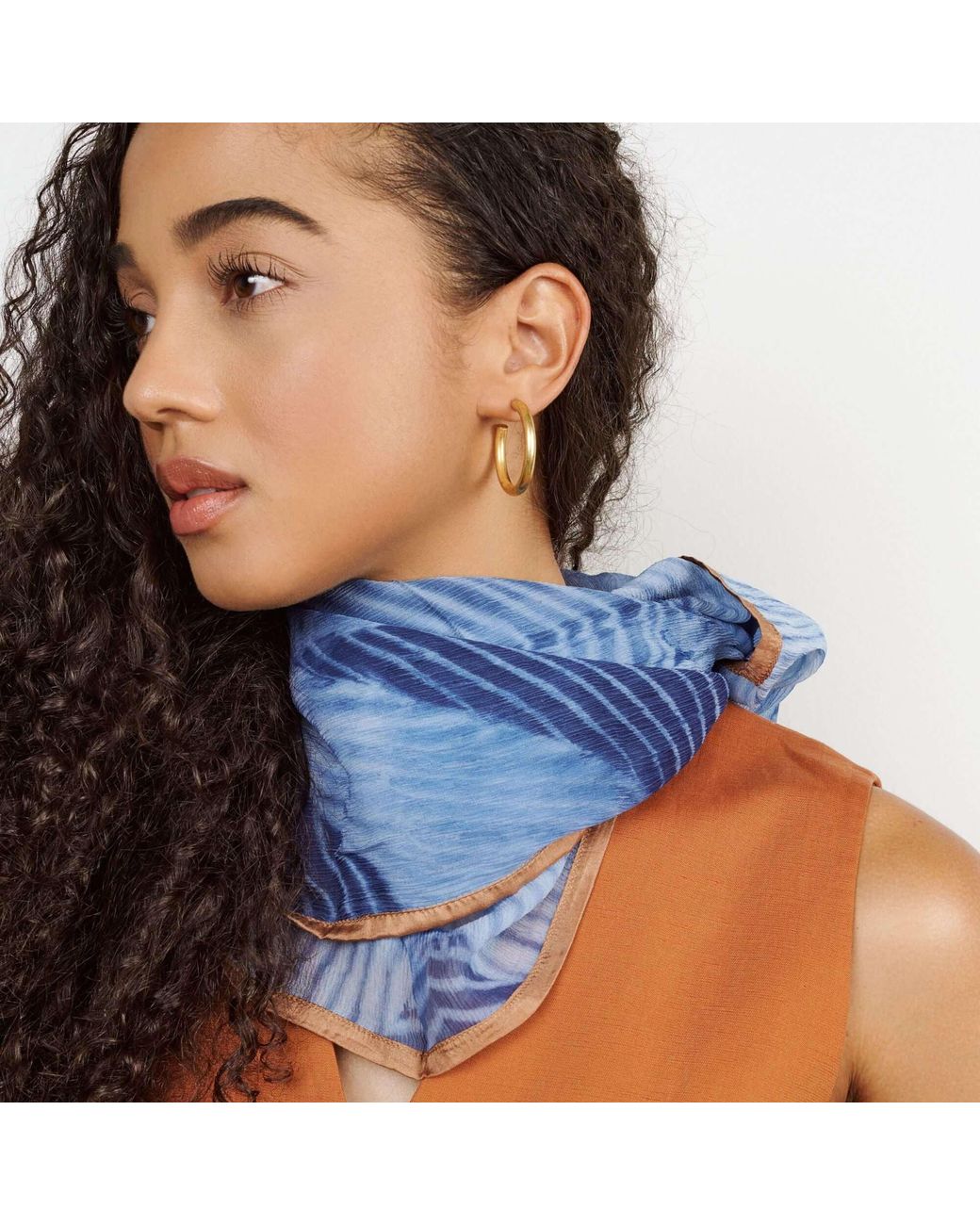 Variously Blue Samu Hand Printed Shibori Silk Chiffon Scarf