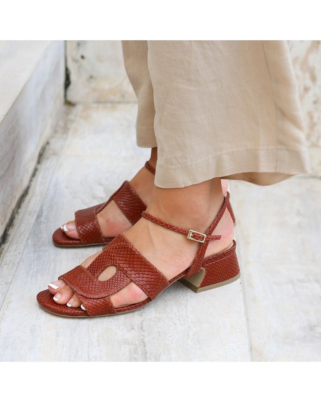 Alterre Brown Snake Amal Loop Sandal