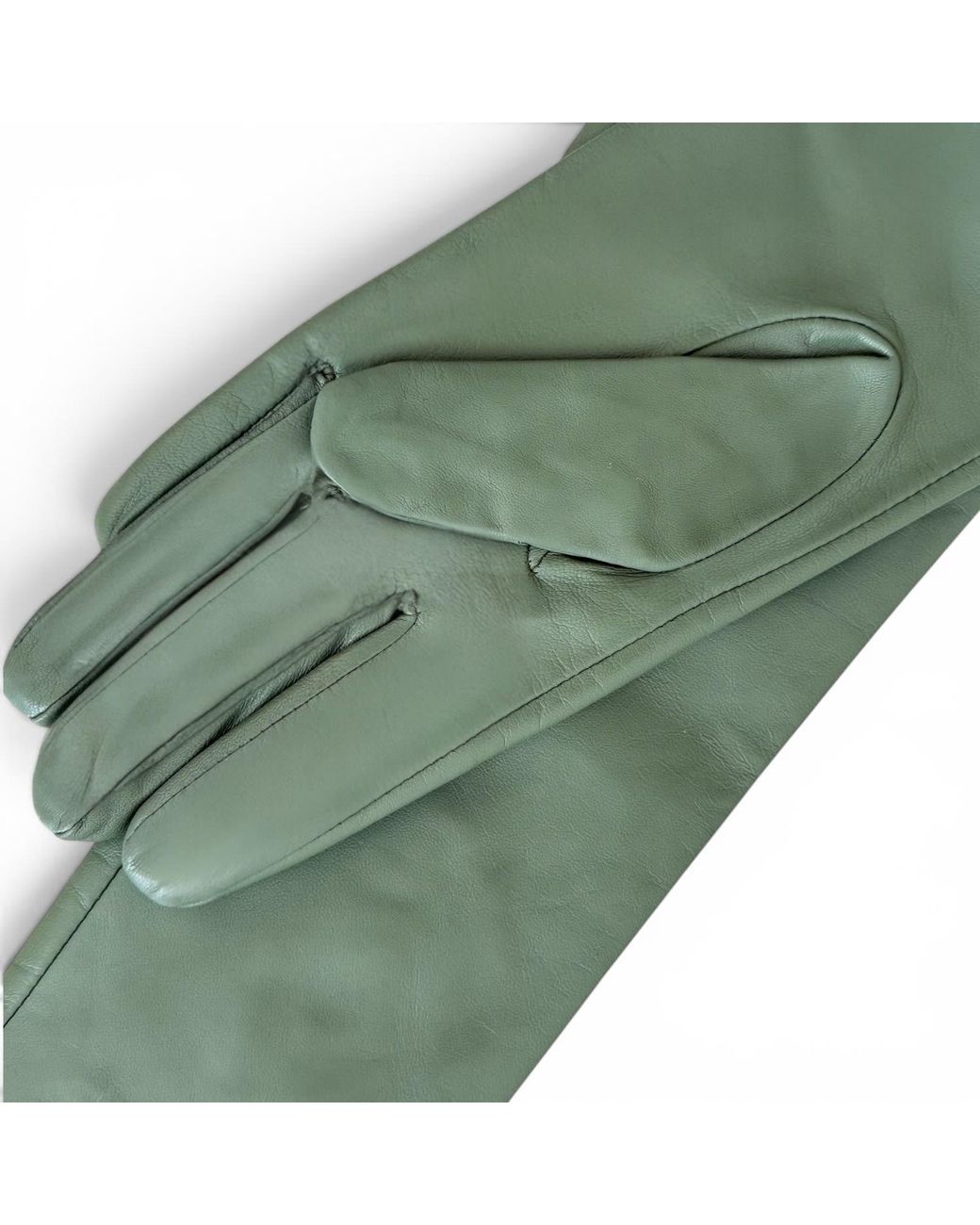 HIGH HEEL JUNGLE by KATHRYN EISMAN Green Milana Opera-Length Leather Gloves