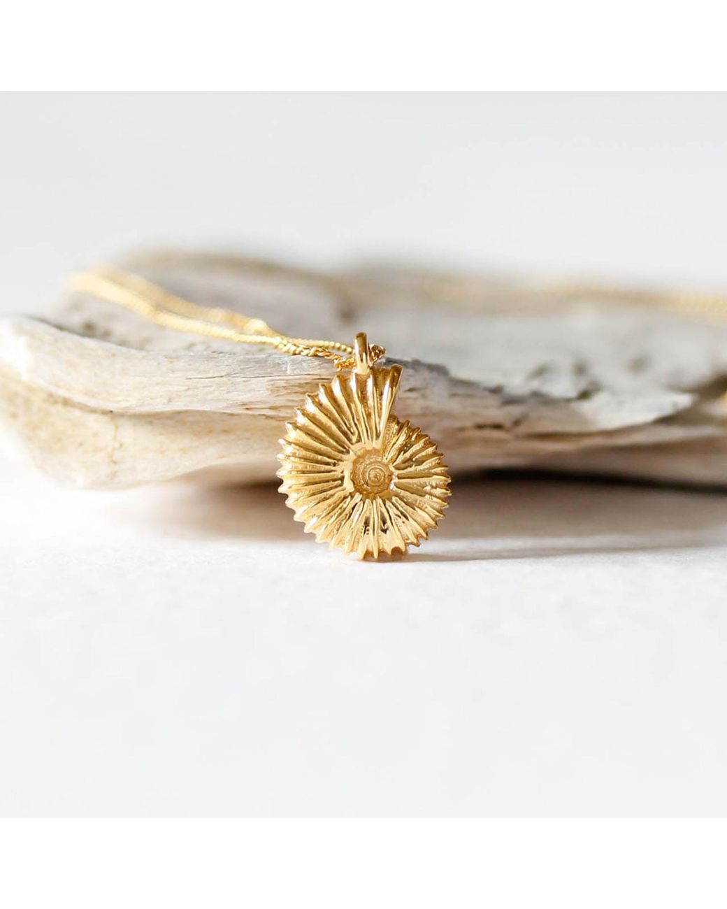 Lee Renee Metallic Ammonite Necklace