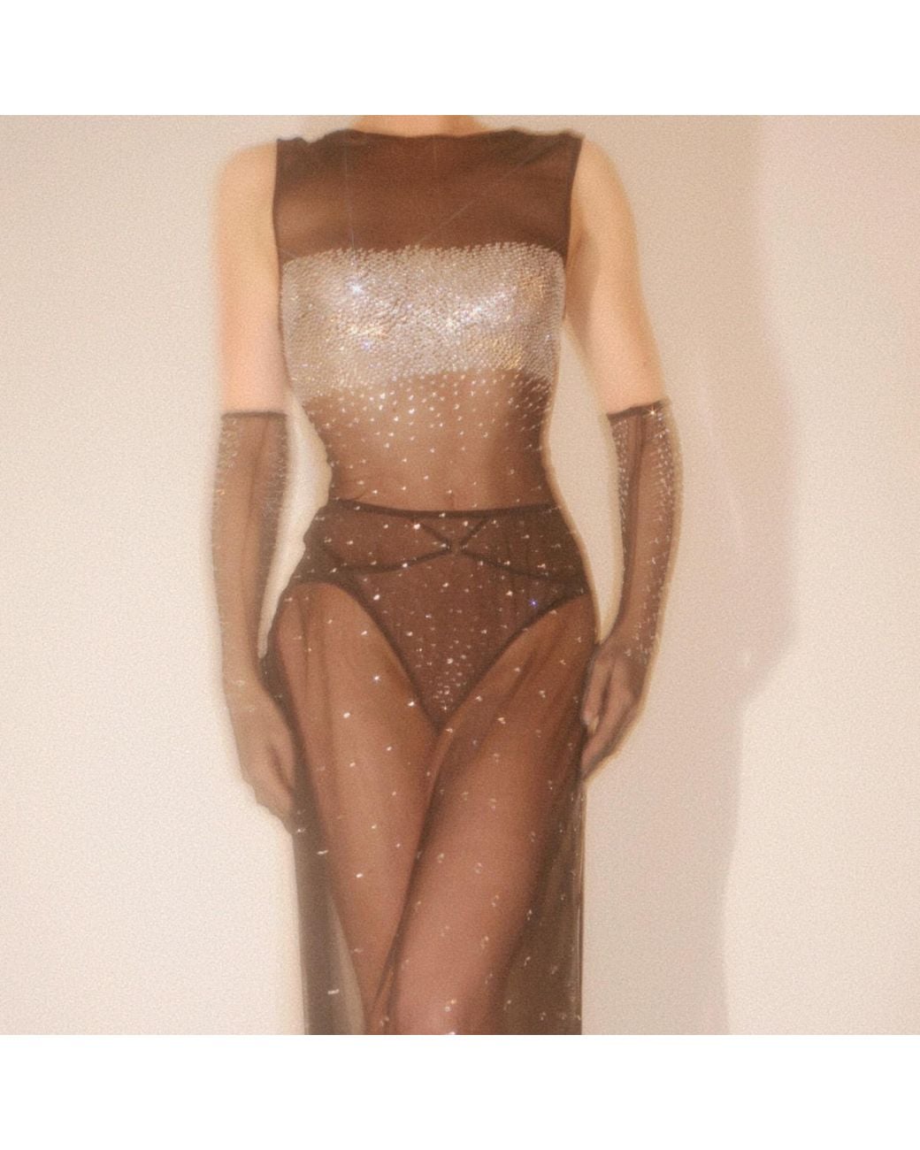 Empress Mimi Black Astria Sheer Dress With Crystal Details
