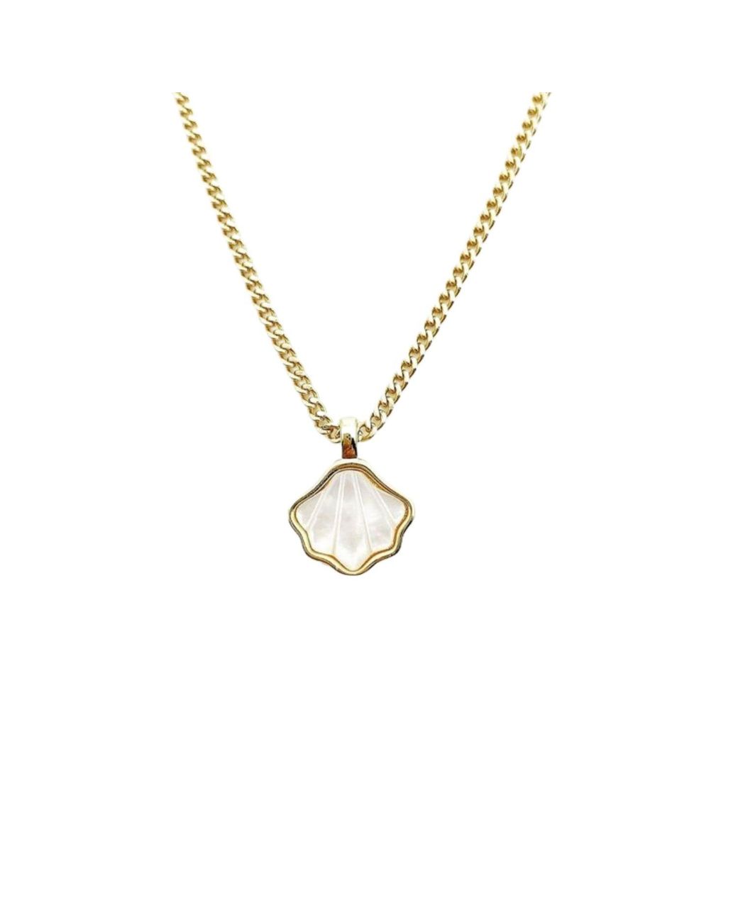 Rachel Nathan Metallic Mother Of Pearl Seashell