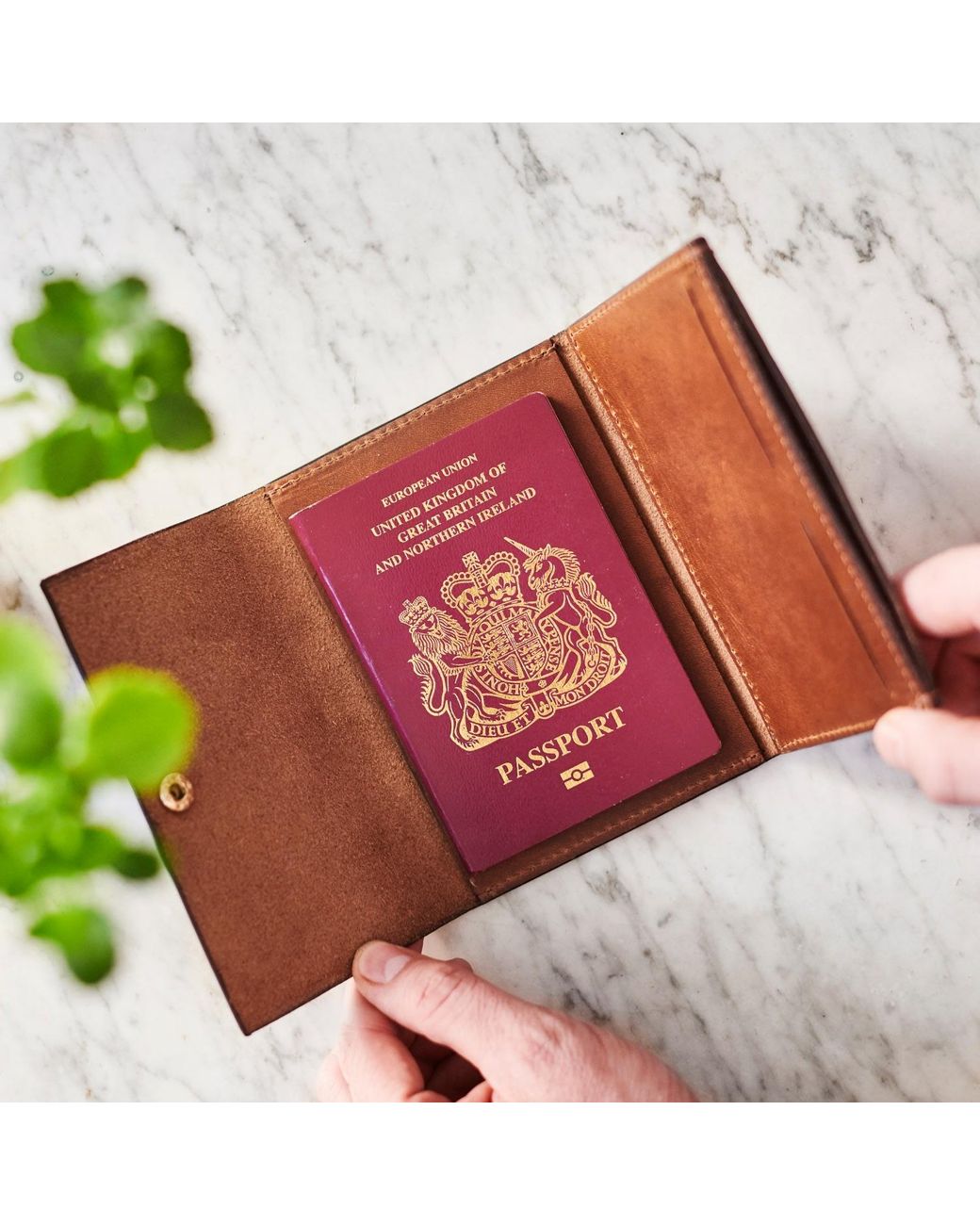 VIDA VIDA Brown Luxe Tan Leather Passport Holder for men