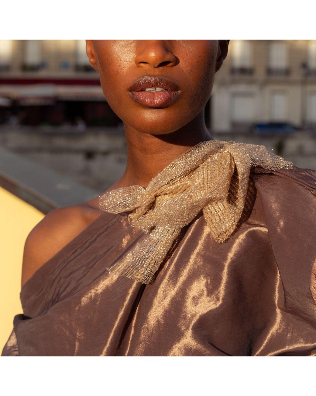 Miro Misljen Brown Aurelia Bronze Draped Dress