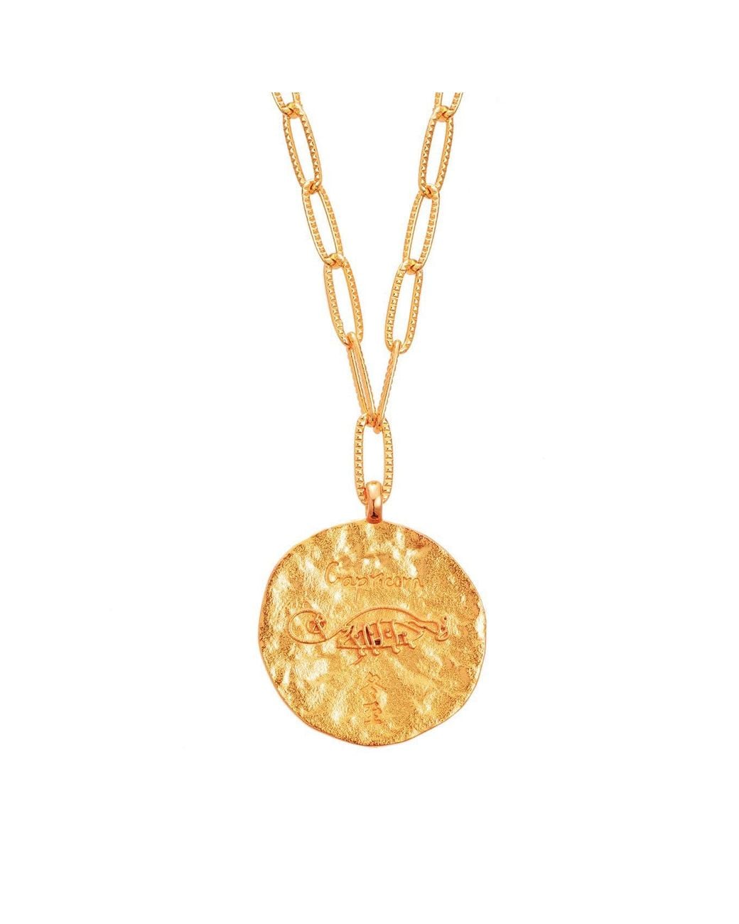 Aurozia Metallic Constellations Capricorn Double-Sided Coin Necklace