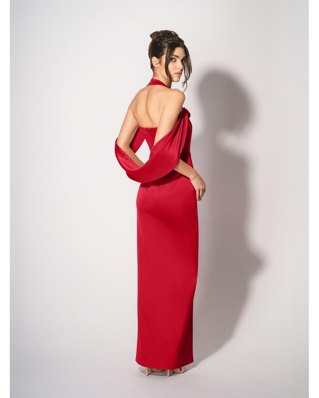 Tia Dorraine Red Rose Garden Maxi Dress – Fierce