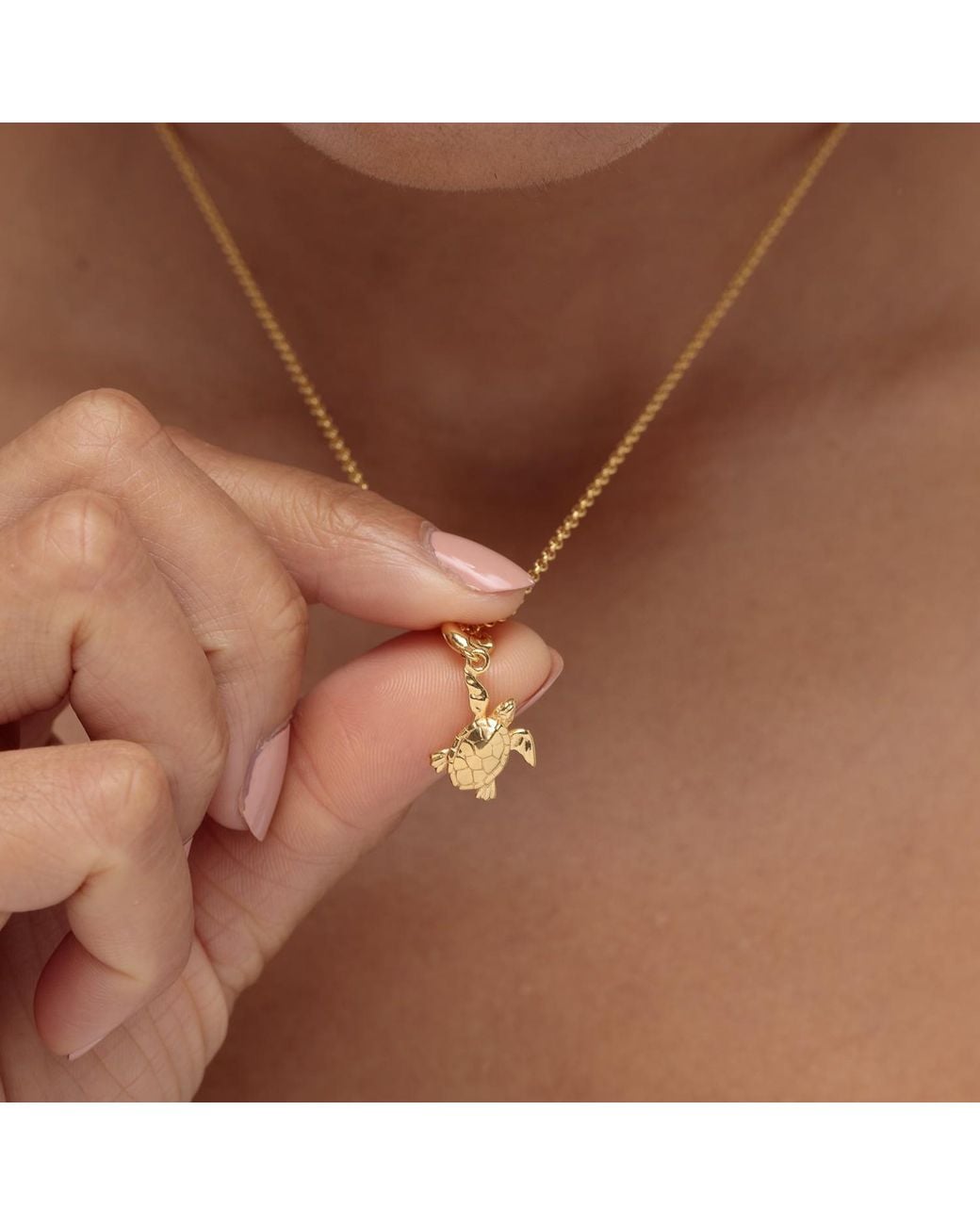 Lily Charmed Metallic Plated Turtle Charm Necklace