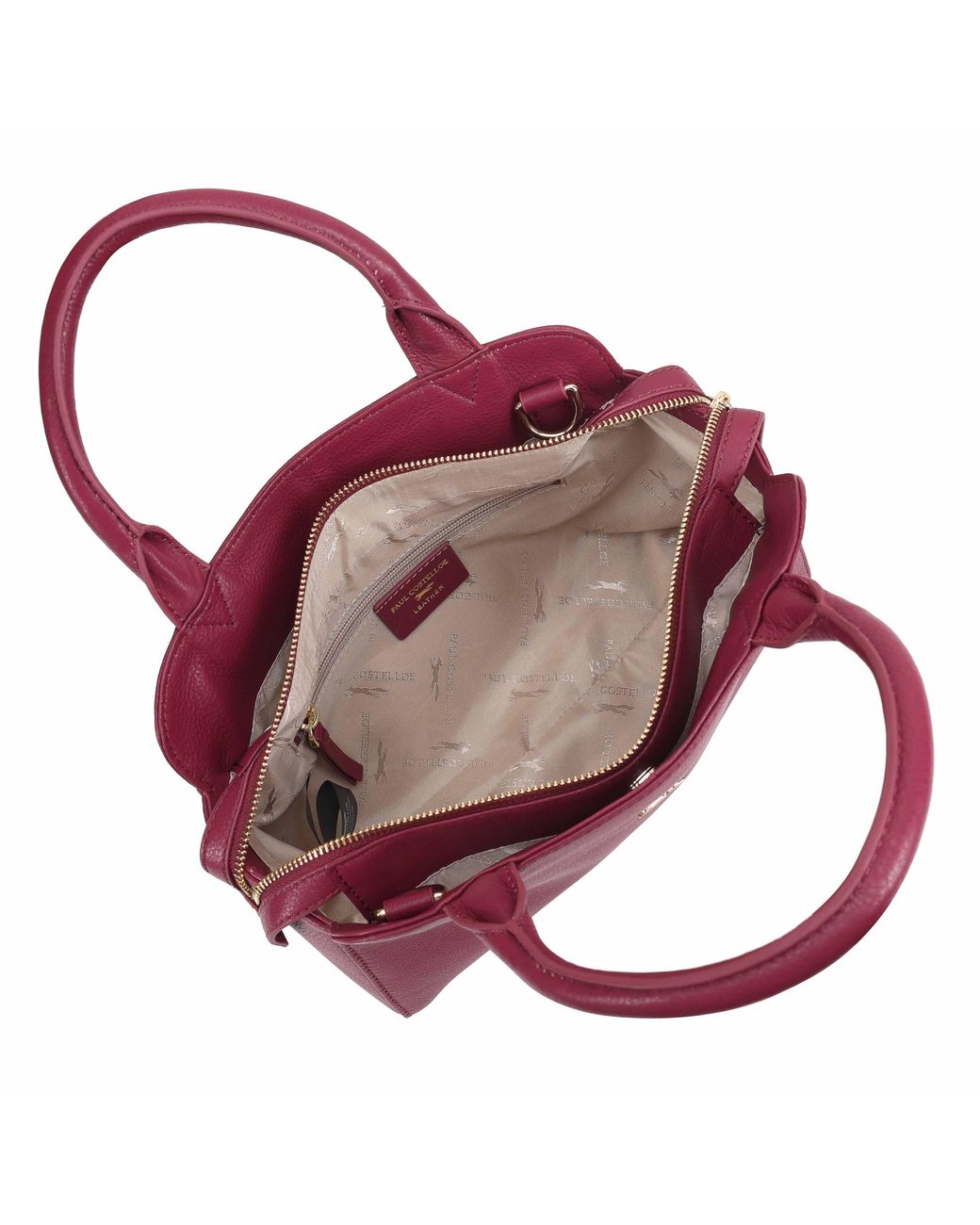 Paul Costelloe Purple Giselle Leather Crossbody Bag