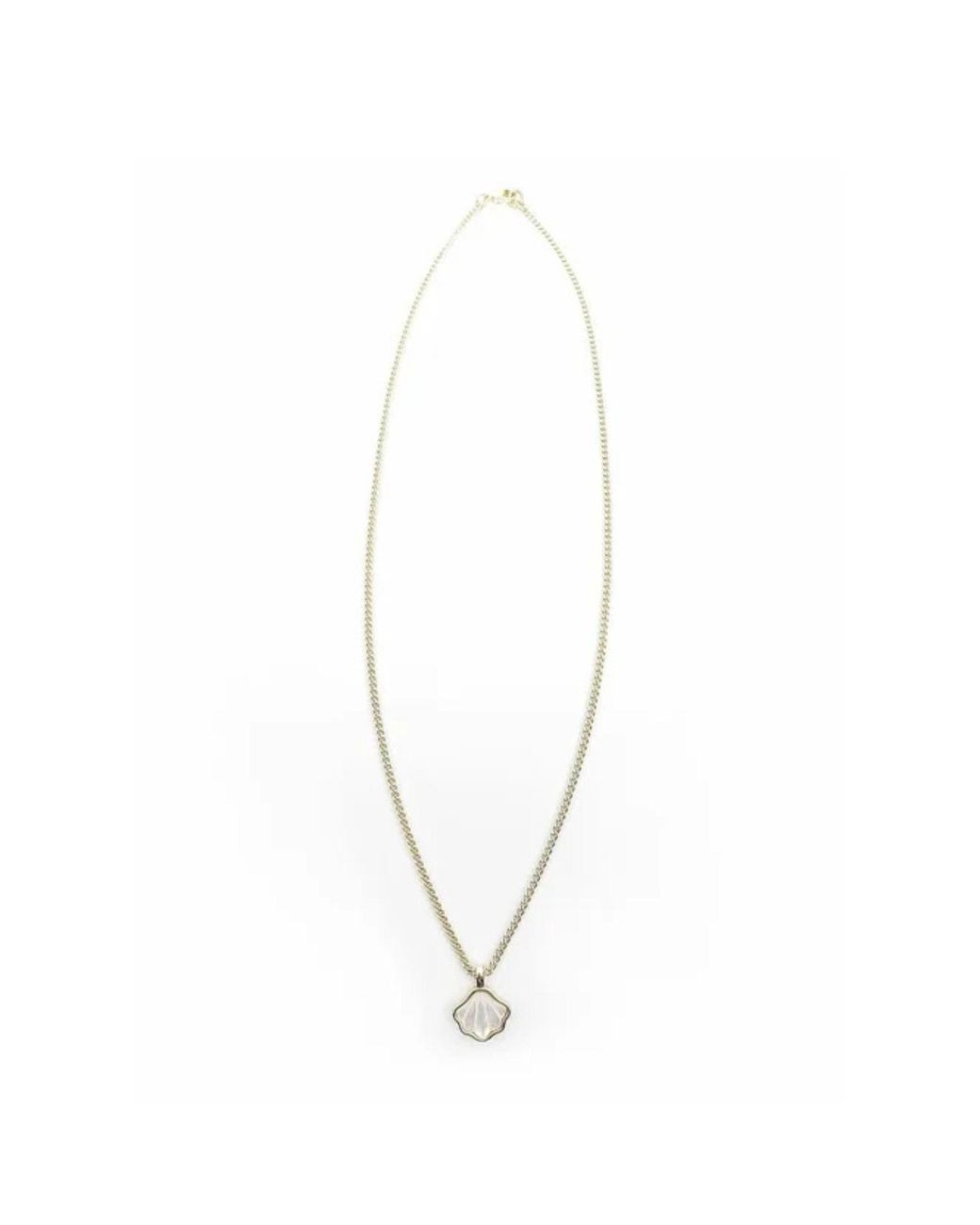 Rachel Nathan Metallic Mother Of Pearl Seashell